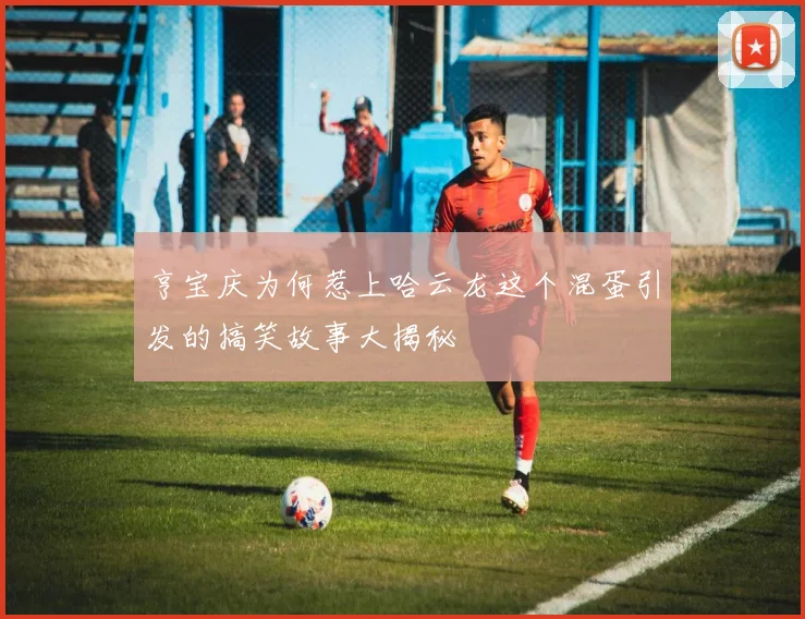 亨宝庆为何惹上哈云龙这个混蛋引发的搞笑故事大揭秘